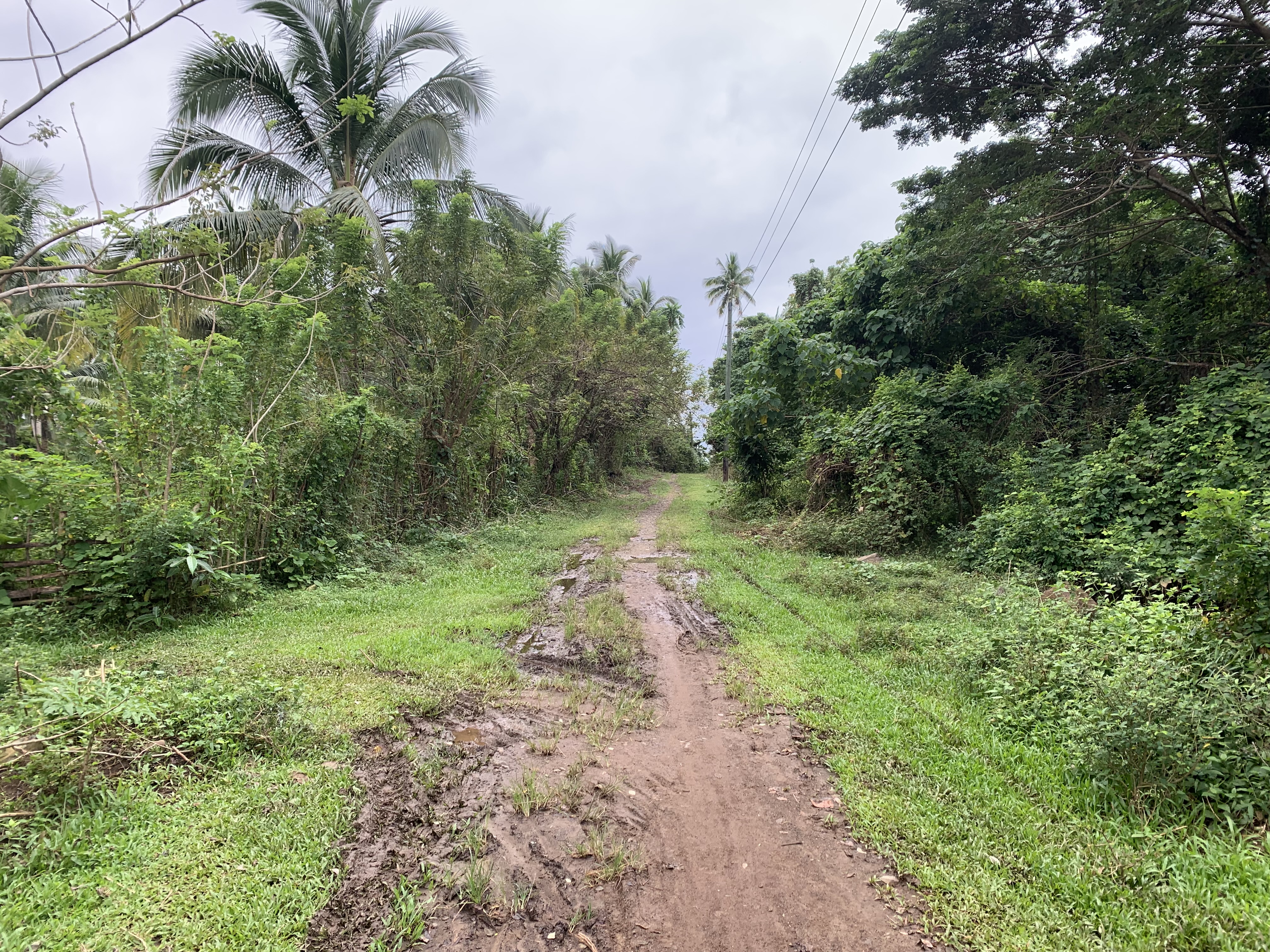Wagon wheel structure